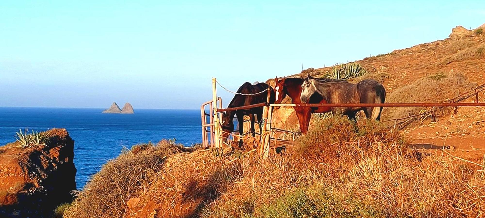 Almaciga Casa Manolo Paraiso Beach Trail מראה חיצוני תמונה