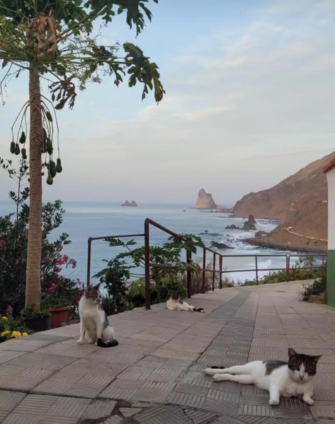 Almaciga Casa Manolo Paraiso Beach Trail מראה חיצוני תמונה